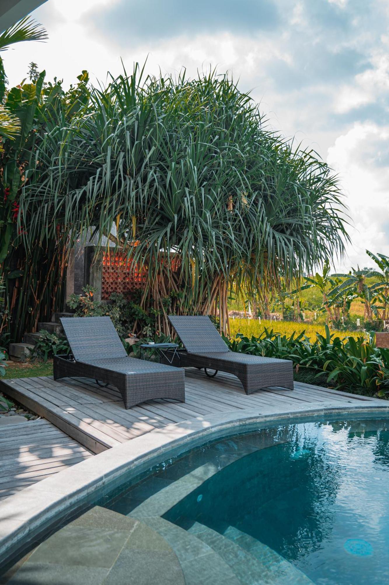 Mahalona Bali Stay 坎古 外观 照片